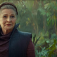 Princess. Senator. Rebel. Jedi. General. Leia Organa held many titles in her time.